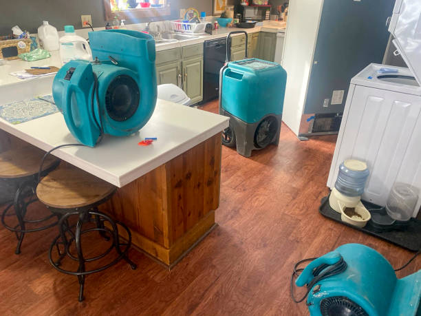 Best Water damage restoration near me  in Oregon, IL