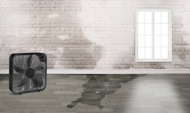 Trusted Oregon, IL Water damage restoration Experts