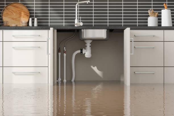 Best Water damage restoration near me  in Oregon, IL